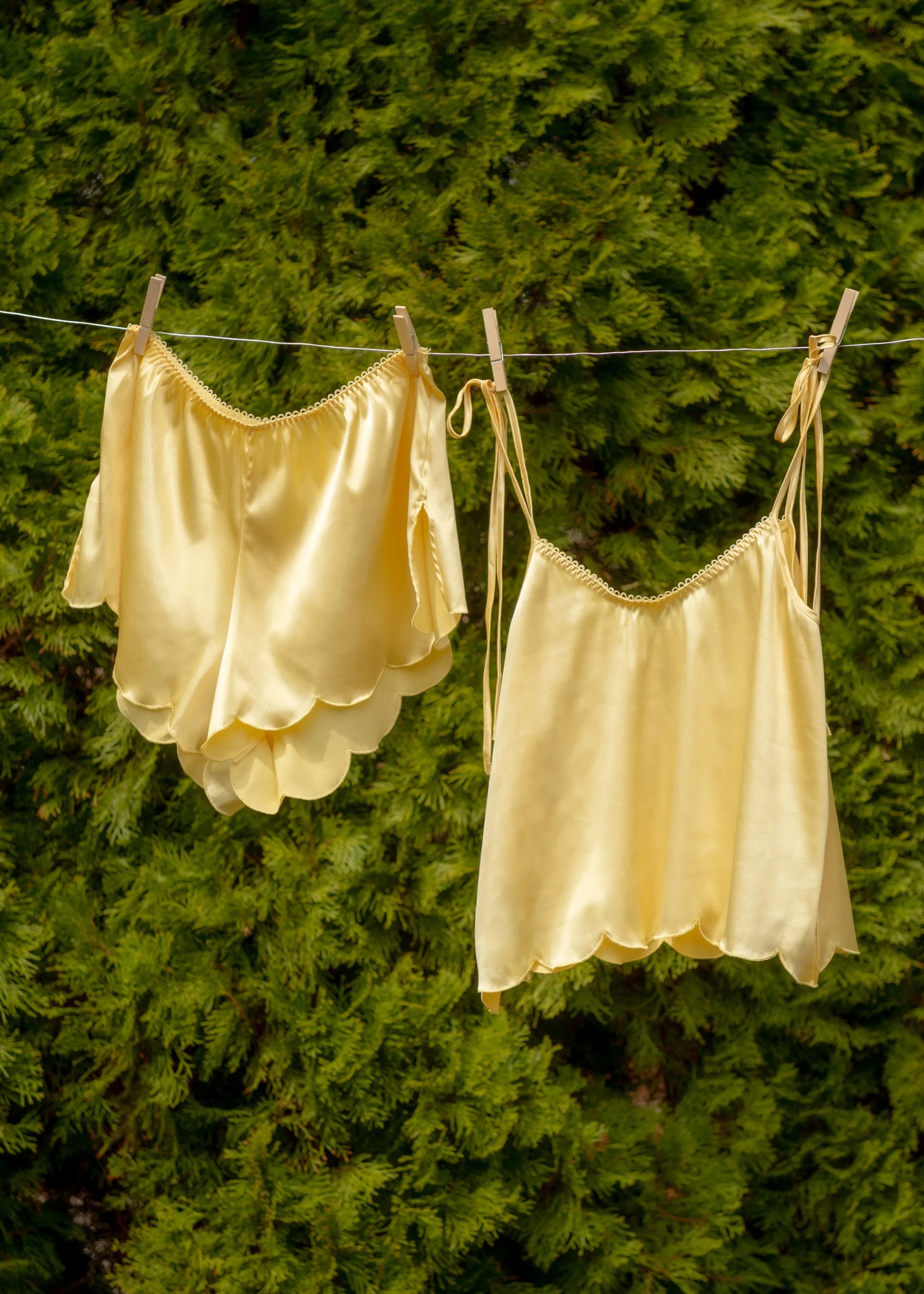 Scalloped Embroidered Satin Cami - Lemon Chiffon