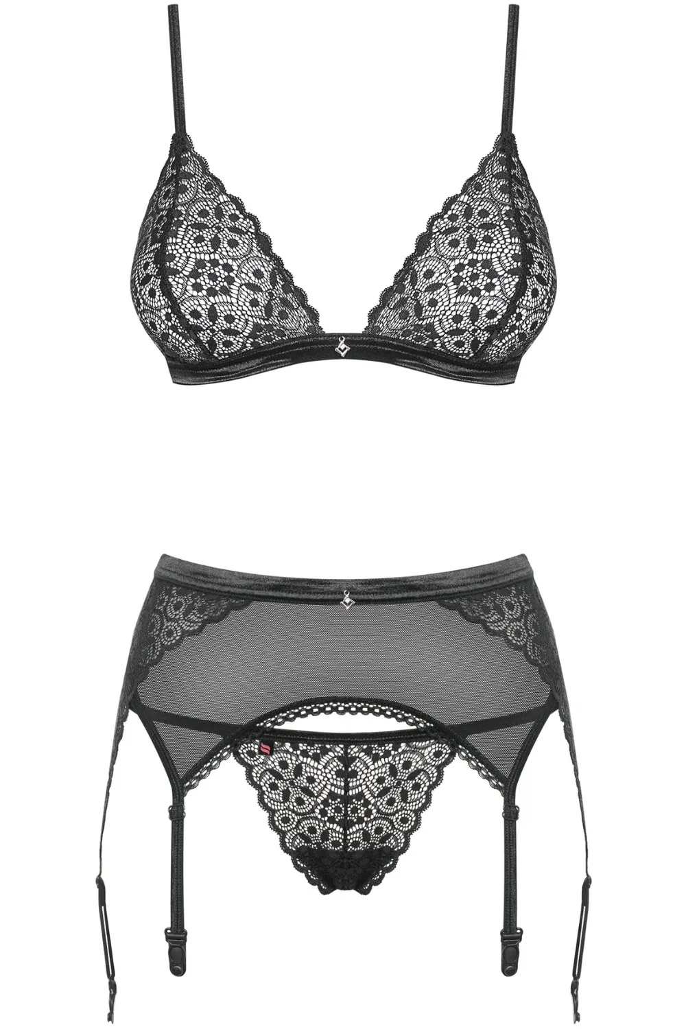 Shibu Bra. Thong & Garter Belt