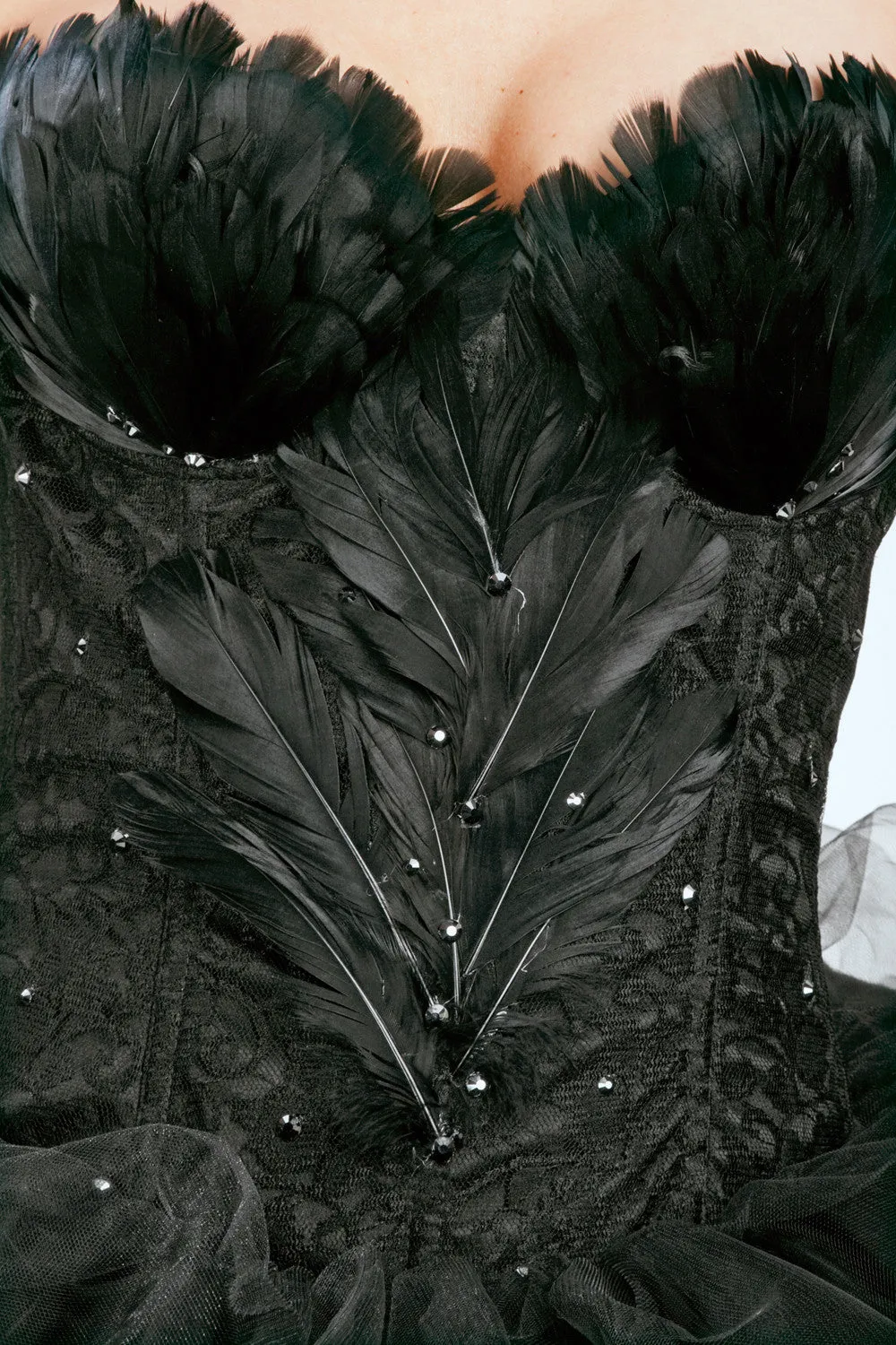 Wild Bird 2 Corset